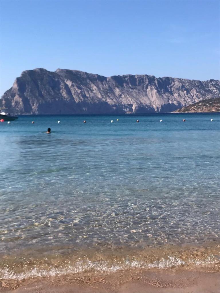 Hotel Al Faro Spiaggia La Cinta Santeodoro San Teodoro  Exterior foto